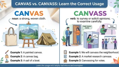 canvas vs canvass